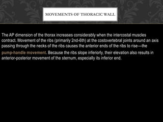 The AP dimension of the thorax increases considerably when the intercostal muscles
contract. Movement of the ribs (primarily 2nd-6th) at the costovertebral joints around an axis
passing through the necks of the ribs causes the anterior ends of the ribs to rise—the
pump-handle movement. Because the ribs slope inferiorly, their elevation also results in
anterior-posterior movement of the sternum, especially its inferior end.
MOVEMENTS OF THORACIC WALL
 