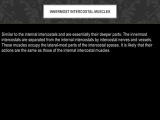 Similar to the internal intercostals and are essentially their deeper parts. The innermost
intercostals are separated from the internal intercostals by intercostal nerves and vessels.
These muscles occupy the lateral-most parts of the intercostal spaces. It is likely that their
actions are the same as those of the internal intercostal muscles.
INNERMOST INTERCOSTAL MUSCLES
 
