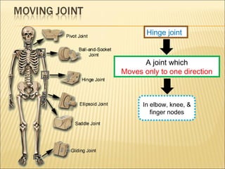 Layered Movement System Grade 8 - Movement System | PPT