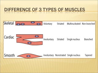 Layered Movement System Grade 8 - Movement System | PPT