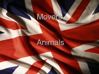 Movers
Animals

 