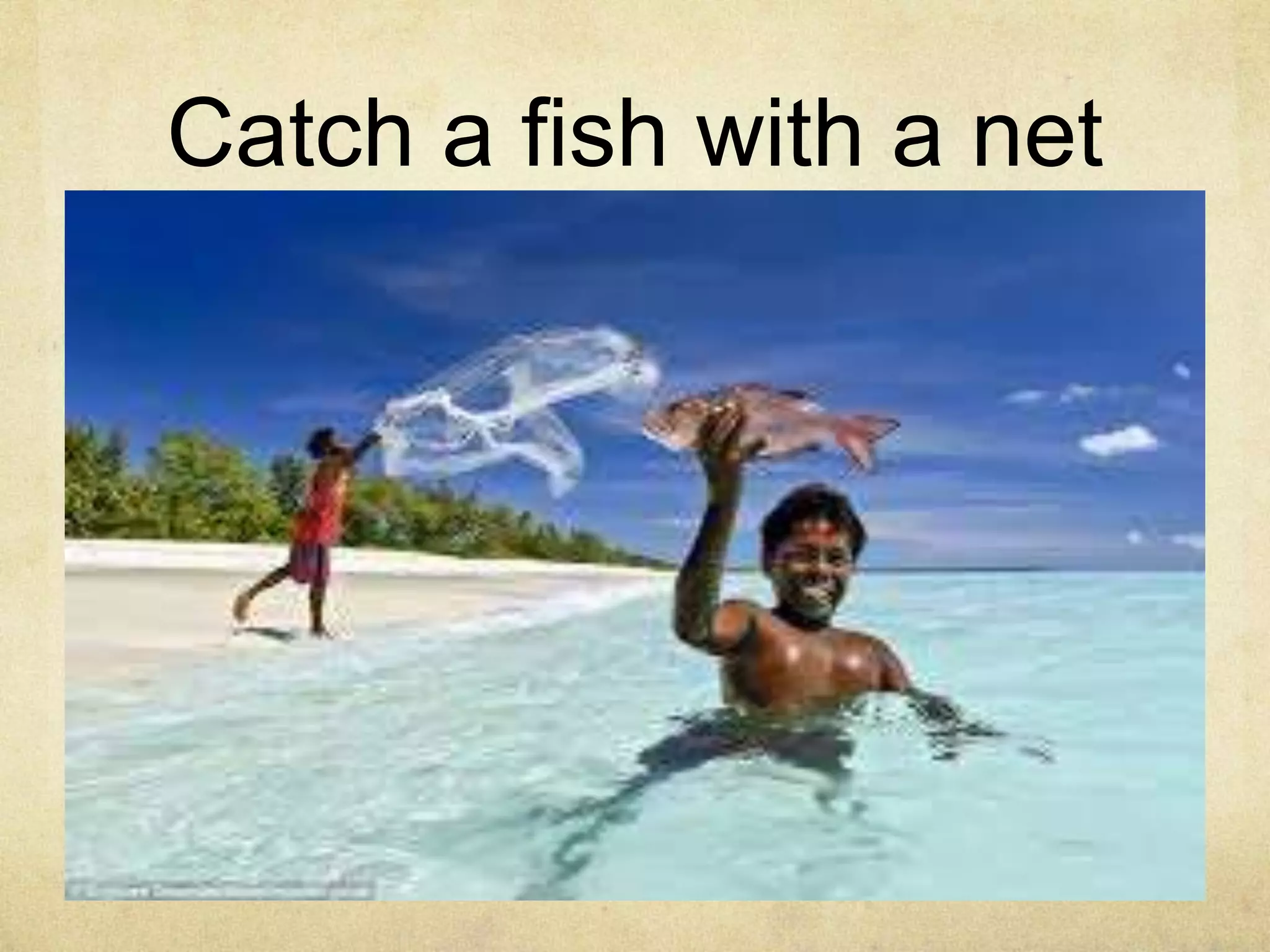 Catch a fish with a net