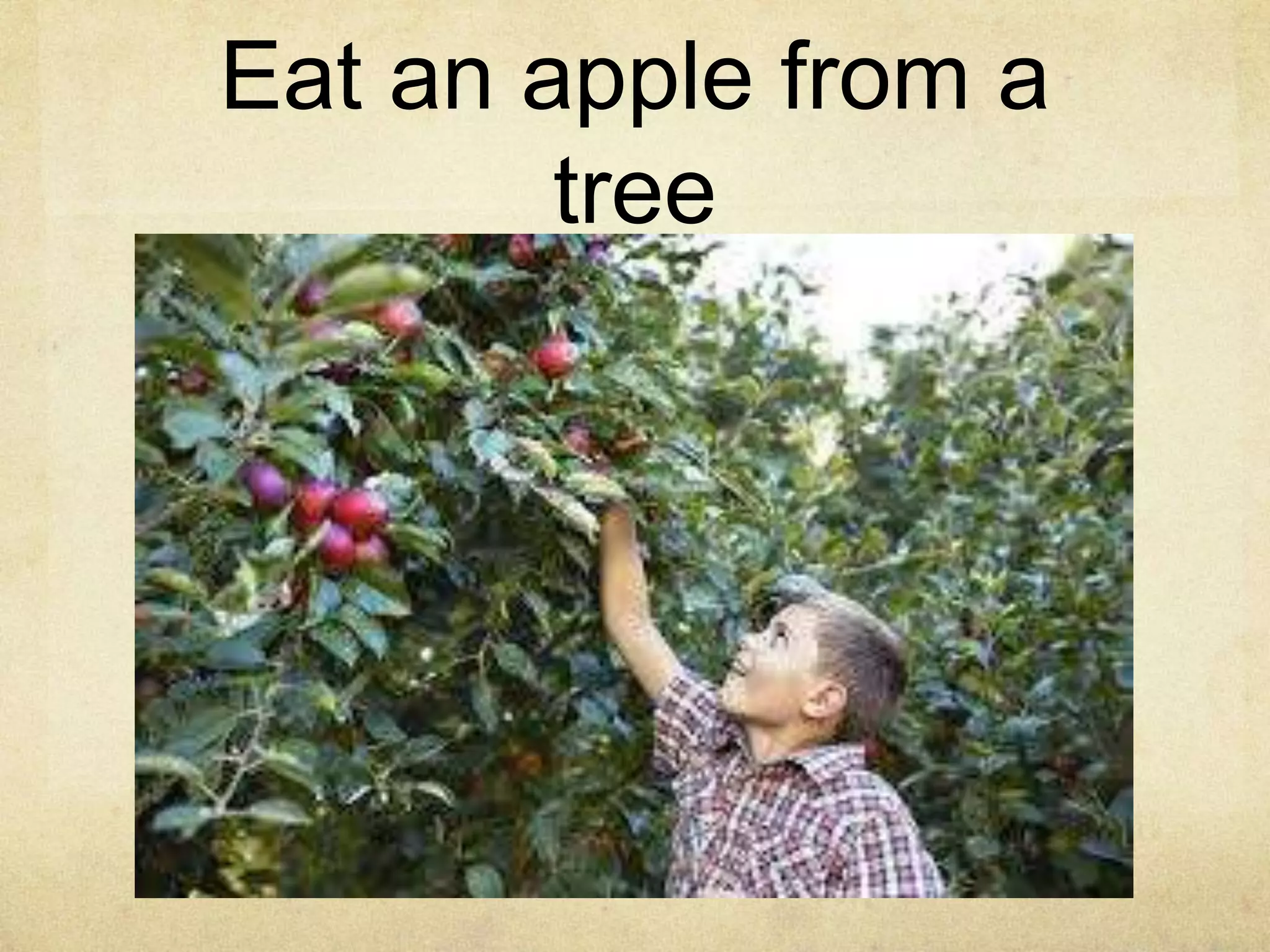 Eat an apple from a
tree