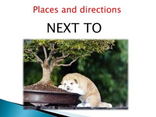 Places and directions
NEXT TO