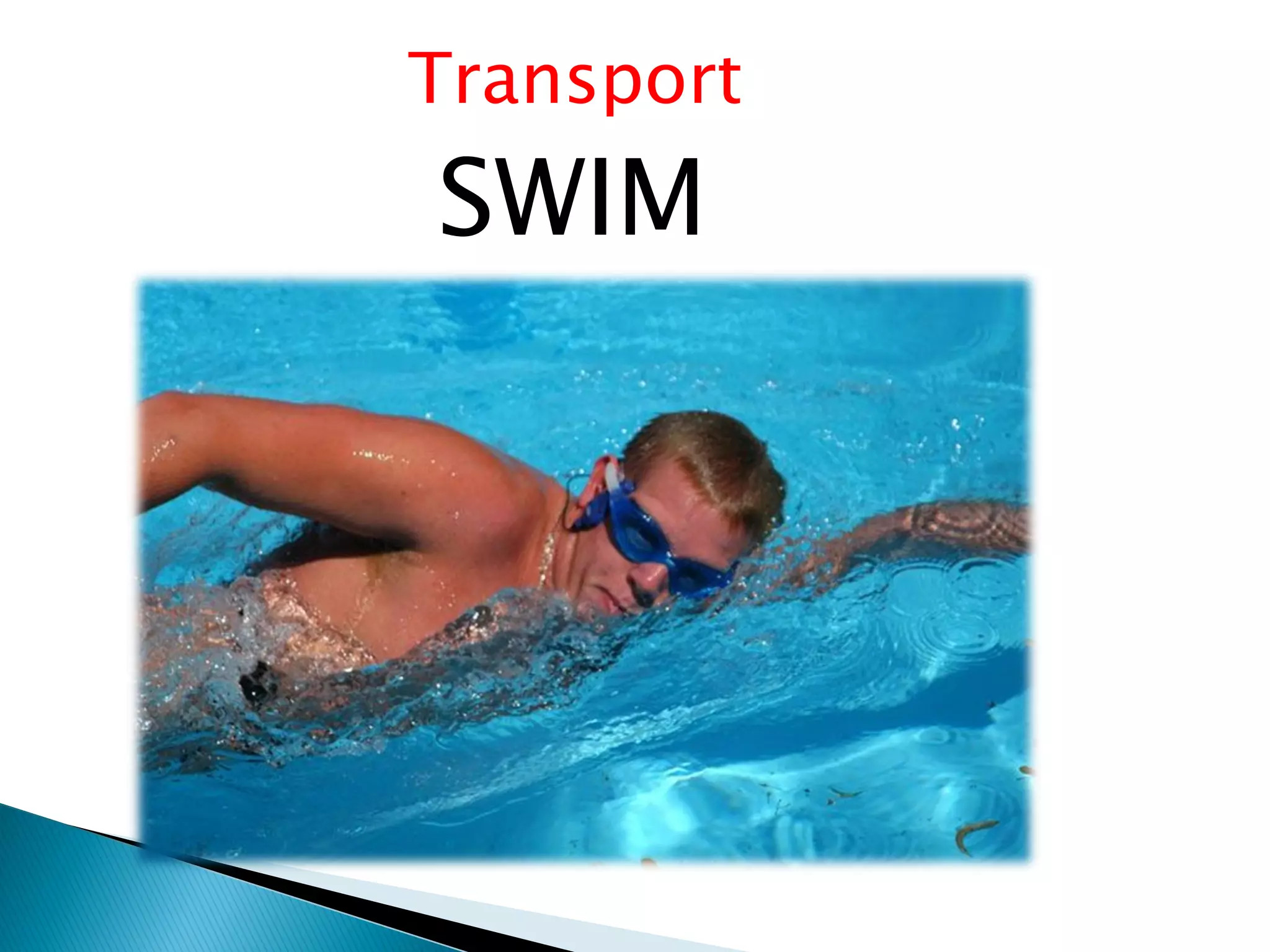 Transport
SWIM
 
