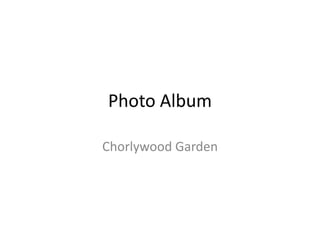 Photo Album

Chorlywood Garden
 