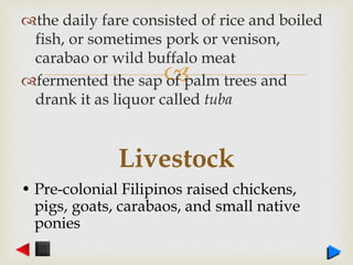 
the daily fare consisted of rice and boiled
fish, or sometimes pork or venison,
carabao or wild buffalo meat
fermented the sap of palm trees and
drank it as liquor called tuba
Livestock
• Pre-colonial Filipinos raised chickens,
pigs, goats, carabaos, and small native
ponies
 