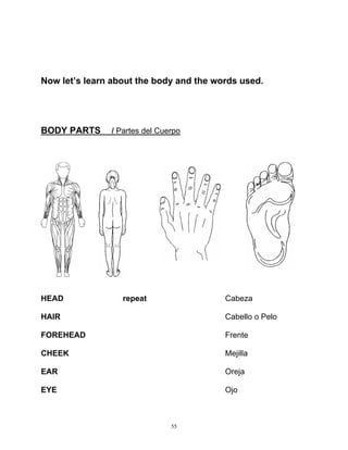 55
Now let’s learn about the body and the words used.
BODY PARTS / Partes del Cuerpo
HEAD repeat Cabeza
HAIR Cabello o Pelo
FOREHEAD Frente
CHEEK Mejilla
EAR Oreja
EYE Ojo
 