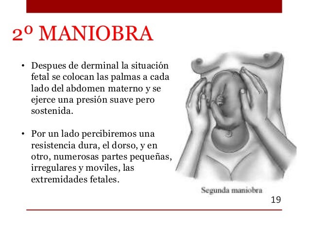 Maniobras de leopold ppt