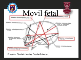 Presenta: Elizabeth Maribel García Gutierrez
Movil fetal
 