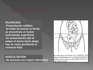 PALPACION:
.Presentación cefálica
.Al tratar de buscar la frente
se encontrara un tumor
redondeado superficial.
.En presentación alta al
palpar el dorso hacia abajo
hay un vacio perdiendo el
contacto fetal.
AUSCULTACION:
.Se escucha con mayor intensidad
 