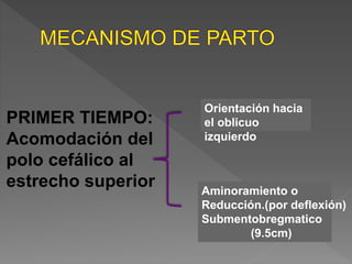 PRIMER TIEMPO:
Acomodación del
polo cefálico al
estrecho superior
Orientación hacia
el oblicuo
izquierdo
Aminoramiento o
Reducción.(por deflexión)
Submentobregmatico
(9.5cm)
 