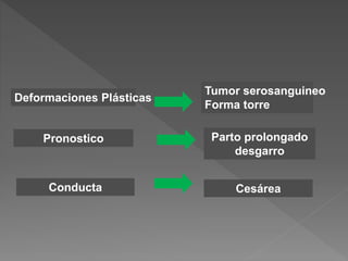 Deformaciones Plásticas
Pronostico
Conducta
Tumor serosanguineo
Forma torre
Parto prolongado
desgarro
Cesárea
 