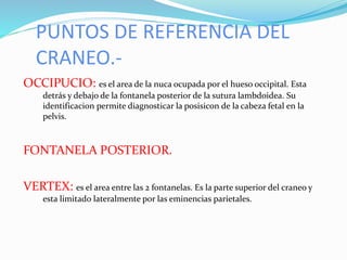 PUNTOS DE REFERENCIA DEL
CRANEO.-
OCCIPUCIO: es el area de la nuca ocupada por el hueso occipital. Esta
detrás y debajo de la fontanela posterior de la sutura lambdoidea. Su
identificacion permite diagnosticar la posisicon de la cabeza fetal en la
pelvis.
FONTANELA POSTERIOR.
VERTEX: es el area entre las 2 fontanelas. Es la parte superior del craneo y
esta limitado lateralmente por las eminencias parietales.
 