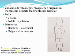  Cada uno de estos segmentos pueden originar un
mecanismo de parto (segmentos de distocia).
 Polos
 Cefalico
 Podalico o pelviano
 Diametros
 Hombros – bi-acromial
 Nalgas – bitrocanterico
En medicina, el término distocia se
emplea cuando el parto o expulsión
procede de manera anormal o difícil.
 