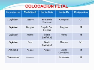 Presentacion Modalidad Punto Guia Punto Dx Designacion
Cefalica Vertice Fontanela
Posterior
Occipital OI
Cefalica Bregma Angulo Ant.
Bregma
Bregma BI
Cefalica Frente Nariz
(orificios)
Frente FI
Cefalica Cara Nariz
(orificios)
Menton MI
Pelviana Nalgas Nalgas Cresta
Coccisacra
SI
Transversa ---------- Acromion AI
COLOCACION FETAL
 