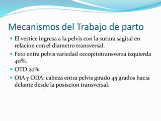 Mecanismos del Trabajo de parto
 El vertice ingresa a la pelvis con la sutura sagital en
relacion con el diametro transversal.
 Feto entra pelvis variedad occopitotransversa izquierda
40%.
 OTD 20%.
 OIA y ODA: cabeza entra pelvis girado 45 grados hacia
delante desde la posiscion transversal.
 