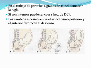  En el trabajo de parto los 2 grados de asinclitismo son
la regla.
 Si son intensos puede ser causa frec. de DCP.
 Los cambios sucesivos entre el asinclitismo posterior y
el anterior favorecen al descenso.
 