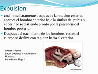 Expulsion
 casi inmediatamente despues de la rotacion externa,
aparece el hombro anterior bajo la sinfisis del pubis, y
el perineo se distiende pronto por la presencia del
hombro posterior.
 Despues del nacimiento de los hombros, resto del
cuerpo se desliza con rapidez hacia el exterior.
Oxorn – Foote
Labor de parto y Nacimiento
Humano.
6ta edicion. Pag. 111.
 