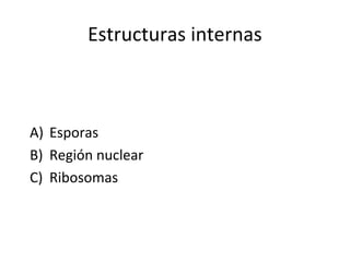 Estructuras internas



A) Esporas
B) Región nuclear
C) Ribosomas
 