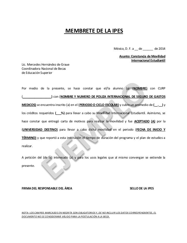 Movilidad Internacional Tec Vallarta