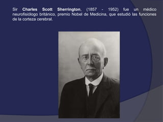 Sir Charles Scott Sherrington, (1857 - 1952) fue un médico 
neurofisiólogo británico, premio Nobel de Medicina, que estudió las funciones 
de la corteza cerebral. 
 