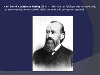 Karl Ewald Konstantin Hering (1834 - 1918) fue un fisiólogo alemán recordado 
por sus investigaciones sobre la visión del color y la percepción espacial. 
 