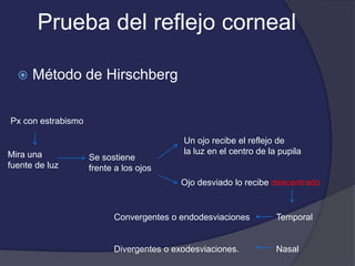 Prueba del reflejo corneal 
 Método de Hirschberg 
Px con estrabismo 
Mira una 
fuente de luz 
Se sostiene 
frente a los ojos 
Un ojo recibe el reflejo de 
la luz en el centro de la pupila 
Ojo desviado lo recibe descentrado 
Temporal 
Nasal 
Convergentes o endodesviaciones 
Divergentes o exodesviaciones. 
 