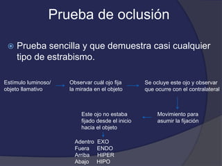 Prueba de oclusión 
 Prueba sencilla y que demuestra casi cualquier 
tipo de estrabismo. 
Estímulo luminoso/ 
objeto llamativo 
Observar cuál ojo fija 
la mirada en el objeto 
Se ocluye este ojo y observar 
que ocurre con el contralateral 
Movimiento para 
asumir la fijación 
Este ojo no estaba 
fijado desde el inicio 
hacia el objeto 
Adentro EXO 
Fuera ENDO 
Arriba HIPER 
Abajo HIPO 
 