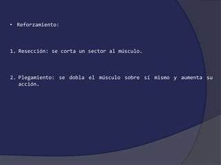 • Reforzamiento: 
1. Resección: se corta un sector al músculo. 
2. Plegamiento: se dobla el músculo sobre sí mismo y aumenta su 
acción. 
 