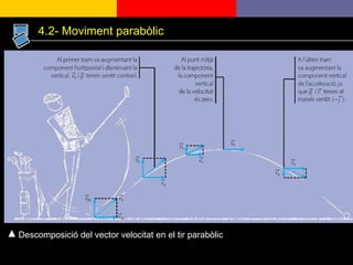 4.2- Moviment parabòlic Descomposició del vector velocitat en el tir parabòlic 