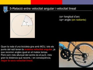 ∆ s= longitud d’arc ∆  = angle  (en radiants) Quan la roda d’una bicicleta gira amb MCU, tots els punts del radi tenen la  mateixa velocitat angular , ja que recorren angles igual en el mateix temps. Però com més allunyat del centre és el punt, més gran la distància que recorre, i en conseqüència,  major la seva velocitat lineal. 5-Relació entre velocitat angular i velocitat lineal 