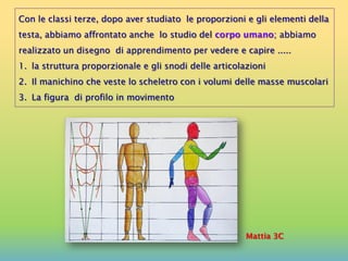 Con le classi terze, dopo aver studiato le proporzioni e gli elementi della
testa, abbiamo affrontato anche lo studio del corpo umano; abbiamo
realizzato un disegno di apprendimento per vedere e capire .....
1. la struttura proporzionale e gli snodi delle articolazioni
2. Il manichino che veste lo scheletro con i volumi delle masse muscolari
3. La figura di profilo in movimento
Mattia 3C
 
