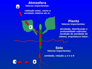 Atmosfera

D

fatores importantes:
radiação solar, vento e
umidade relativa do ar.

Planta

fatores importantes:

C

atividade, distribuição e
profundidade radicular,
condição de sanidade do
xilema, arquitetura foliar.

Solo

fatores importantes:
umidade, relação ψ e θ e K

A

B

 