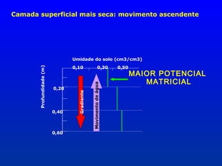 Camada superficial mais seca: movimento ascendente

0,20

0,40

0,60

0,30

Movimento de água

0,10

Gradiente

Profundidade (m)

Umidade do solo (cm3/cm3)
0,50

MAIOR POTENCIAL
MATRICIAL

 