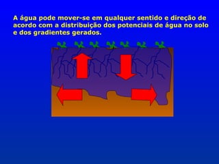 A água pode mover-se em qualquer sentido e direção de
acordo com a distribuição dos potenciais de água no solo
e dos gradientes gerados.

 