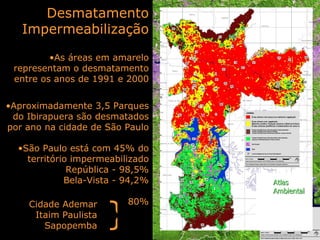 As áreas em amarelo representam o desmatamento entre os anos de 1991 e 2000 Aproximadamente 3,5 Parques do Ibirapuera são desmatados por ano na cidade de São Paulo São Paulo está com 45% do território impermeabilizado República - 98,5% Bela-Vista - 94,2% 80% Desmatamento Impermeabilização Cidade Ademar Itaim Paulista Sapopemba } Atlas Ambiental 