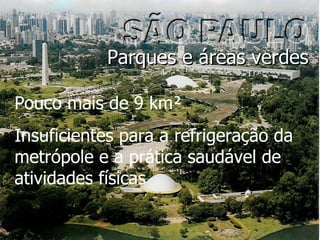 Parques e áreas verdes Pouco mais de 9 km² Insuficientes para a refrigeração da metrópole e a prática saudável de atividades físicas 