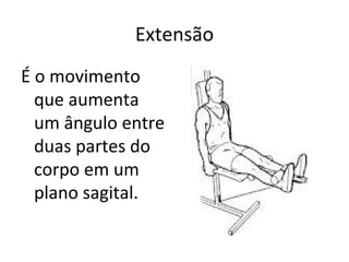 Extensão É o movimento que aumenta um ângulo entre duas partes do corpo em um plano sagital. 