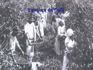 Lavoura de CaféLavoura de Café
 