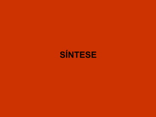 SÍNTESE 
