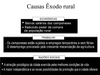 Causas Êxodo rural TRABALHO ECONÔMICAS RAZÕES SOCIAIS 