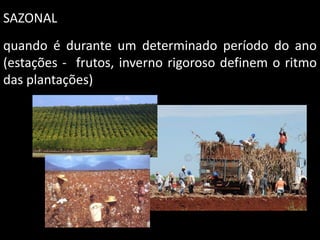 SAZONAL
quando é durante um determinado período do ano
(estações - frutos, inverno rigoroso definem o ritmo
das plantações)

 