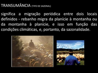 TRANSUMÂNCIA (TIPO DE SAZONAL)
significa a migração periódica entre dois locais
definidos - rebanho migra da planície à montanha ou
da montanha à planície, e isso em função das
condições climáticas, e, portanto, da sazonalidade.

 