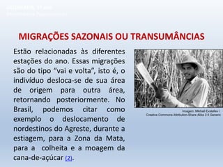 MIGRAÇÕES SAZONAIS OU TRANSUMÂNCIAS
Estão relacionadas às diferentes
estações do ano. Essas migrações
são do tipo “vai e volta”, isto é, o
indivíduo desloca-se de sua área
de origem para outra área,
retornando posteriormente. No
Brasil, podemos citar como
exemplo o deslocamento de
nordestinos do Agreste, durante a
estiagem, para a Zona da Mata,
para a colheita e a moagem da
cana-de-açúcar (2).
GEOGRAFIA, 1º ano
Movimentos Populacionais
Imagem: Mikhail Evstafiev /
Creative Commons Attribution-Share Alike 2.5 Generic
 