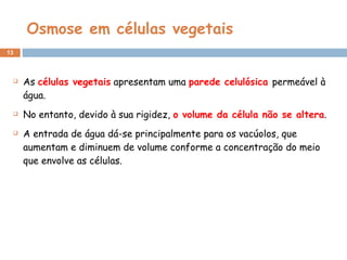 Osmose em células vegetais As  células vegetais   apresentam uma  parede celulósica  permeável à água.  No entanto, devido à sua rigidez,  o volume da célula não se altera .  A entrada de água dá-se principalmente para os vacúolos, que aumentam e diminuem de volume conforme a concentração do meio que envolve as células. 