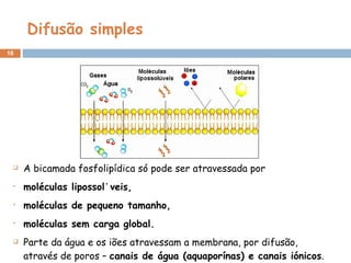 Difusão simples A bicamada fosfolipídica só pode ser atravessada por moléculas lipossolúveis,  moléculas de pequeno tamanho,  moléculas sem carga global. Parte da água e os iões atravessam a membrana, por difusão, através de poros –  canais de água (aquaporínas) e canais iónicos . 