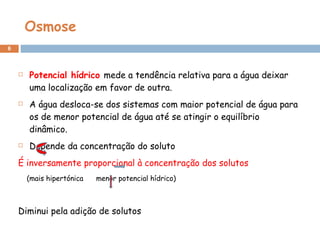 Osmose Potencial hídrico  mede a tendência relativa para a água deixar uma localização em favor de outra. A água desloca-se dos sistemas com maior potencial de água para os de menor potencial de água até se atingir o equilíbrio dinâmico. Depende da concentração do soluto É inversamente proporcional à concentração dos solutos (mais hipertónica  menor potencial hídrico) Diminui pela adição de solutos  