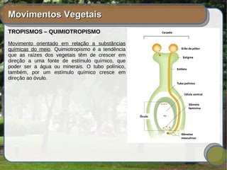 Movimentos VegetaisMovimentos Vegetais
TROPISMOS – QUIMIOTROPISMO
Movimento orientado em relação a substâncias
químicas do meio. Quimiotropismo é a tendência
que as raízes dos vegetais têm de crescer em
direção a uma fonte de estímulo químico, que
poder ser a água ou minerais. O tubo polínico,
também, por um estímulo químico cresce em
direção ao óvulo.
 