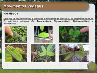 Movimentos VegetaisMovimentos Vegetais
NASTISMOS
Este tipo de movimento não é orientado e independe da direção ou da origem do estímulo.
Os principais Natismos são: Fotonastismo, Tigmonastismo, Quimionastismo e
Sismonastia.
 